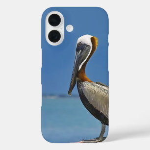 Coques iPhone 16 Photographie d'observation d'oiseaux de Pélican