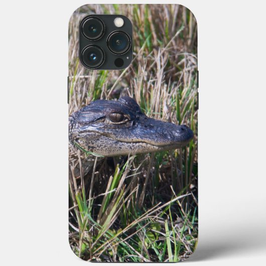 Coques Case-Mate iPhone Photographie d'un bébé alligator dans l'herbe des (Verso)