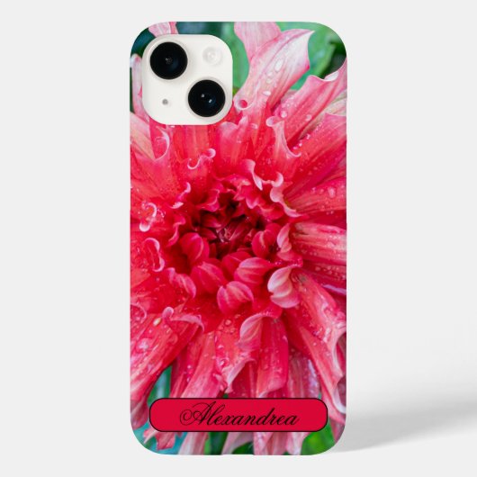 Coques Case-Mate iPhone Photographie Fleur, Rose Dahlia (Verso)