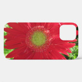 Coques Case-Mate iPhone Photographie florale de Red Daisy (Verso (horizontal))