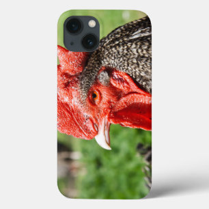 iPhone 13 Case Photographie grise écossaise de coq