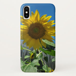 Case-Mate iPhone Case Photographie jolie tournesol