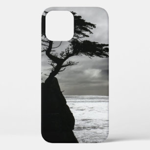 Case-Mate iPhone Case Photographie nature noir et blanc