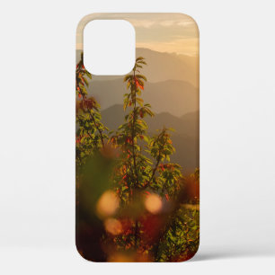 Case-Mate iPhone CASE PHOTOGRAPHIE NATURELLE DES ARBRES VERTS SURPLOMBAN