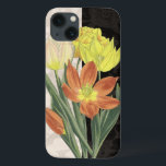 iPhone 13 Case Pièce maîtresse II<br><div class="desc">Floral</div>