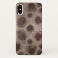 Pierre d'état de Petoskey Stone Michigan