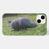 Coques Case-Mate iPhone Pigeon dormant (Verso (horizontal))