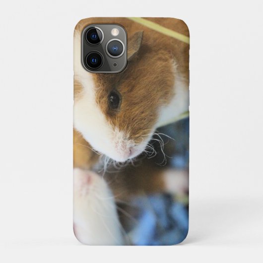 Coques Case-Mate iPhone Piggy (Dos)