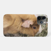 Coques Case-Mate iPhone Piggy (Dos (Horizontal))