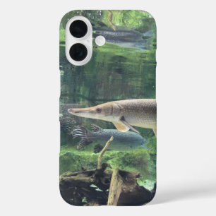Coques iPhone 16 Pike Fish Ckear Water Photo