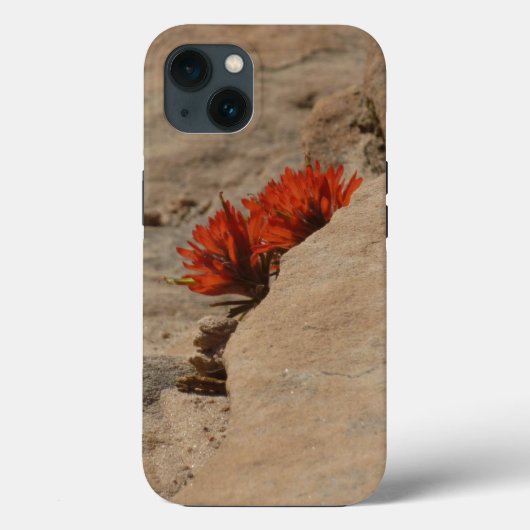 Coques Case-Mate iPhone Pinceau indien en roche à Sion (Verso)