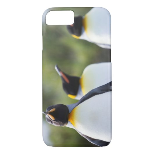 Coques Case-Mate iPhone Pingouins (Dos)