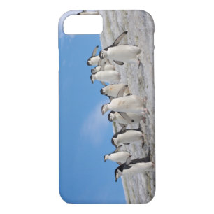 Coques Pour iPhone Pingouins   Pygoscelis Antarctique