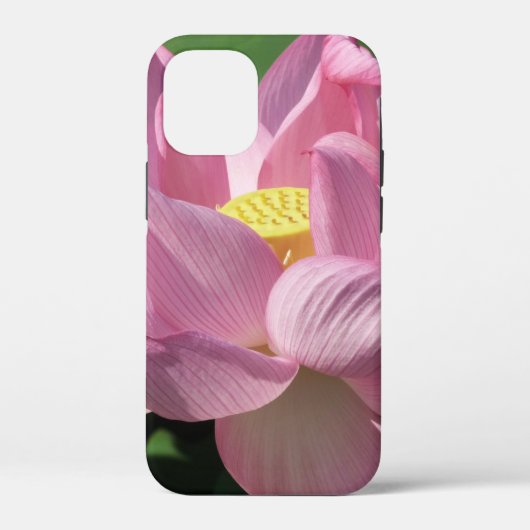 Coques Case-Mate iPhone Pink Lotus Flower IV (Verso)