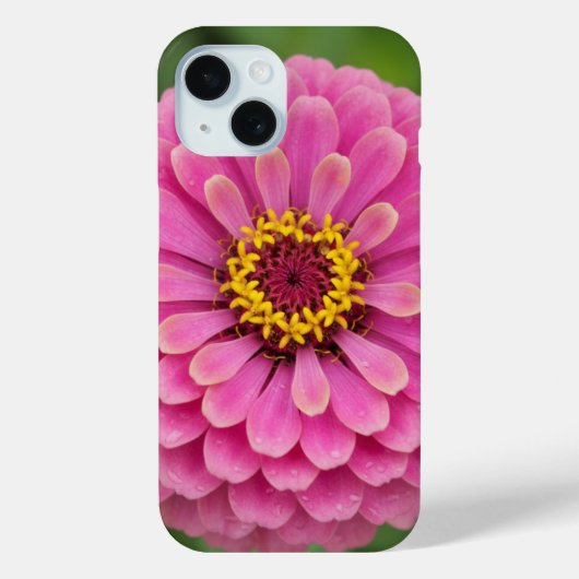 Coques Case-Mate iPhone Pink zinnia - floral (Verso)