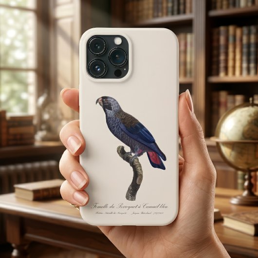 Coques Case-Mate iPhone Pionus fuscus, Pione fuscus ou Pion gris-brun