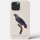 Coques Case-Mate iPhone Pionus fuscus, Pione fuscus ou Pion gris-brun (Verso)