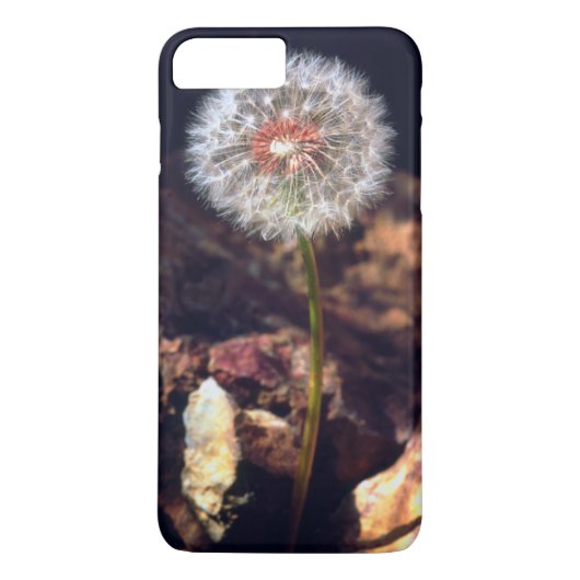 Coques Case-Mate iPhone Pissenlit (Dos)