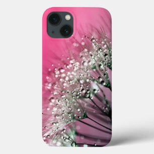 Coques Pour iPhone Pissenlit de roses indien