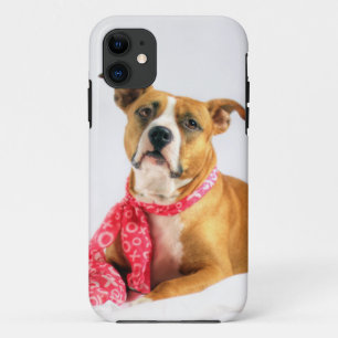 Coque iPhone 11 Pit Bull Puppy Love in Pink XOXO