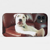 Coques Case-Mate iPhone pitbull blanc drôle sur le canapé (Dos (Horizontal))