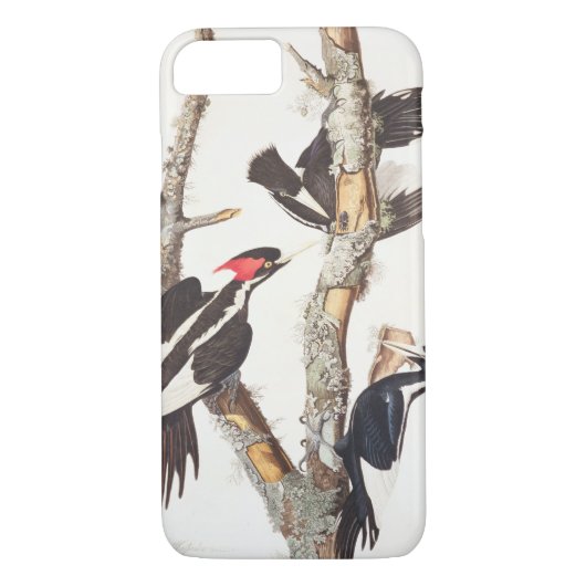Coques Case-Mate iPhone pivert Ivoire-affiché, 1829, () (Dos)