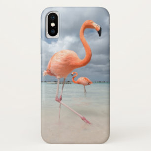 Case-Mate iPhone Case Plage Aruba de Flamants roses
