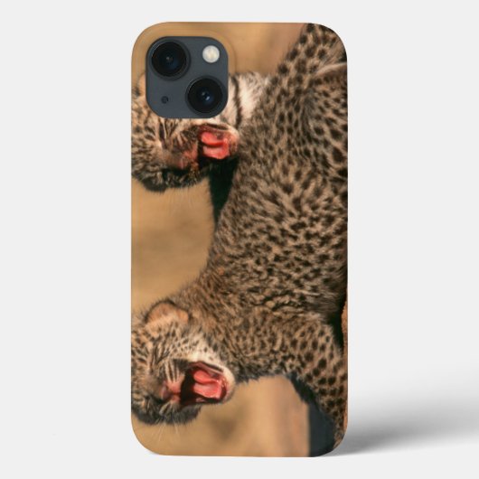 Coques Case-Mate iPhone Plan rapproché de léopard nouveau-né (Panthera (Verso)