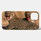 Coques Case-Mate iPhone Plan rapproché de léopard nouveau-né (Panthera (Verso (horizontal))