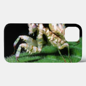 Coques Case-Mate iPhone Plan rapproché de mante hotentote (Verso (horizontal))