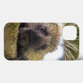 Coques Case-Mate iPhone Plan rapproché de porc-épic dans un arbre (Verso (horizontal))