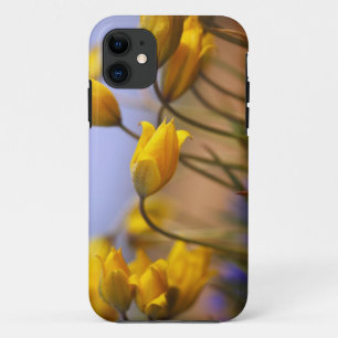 Coque iPhone 11 Plan rapproché des jonquilles