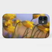 Coques Case-Mate iPhone Plan rapproché des jonquilles (Dos (Horizontal))