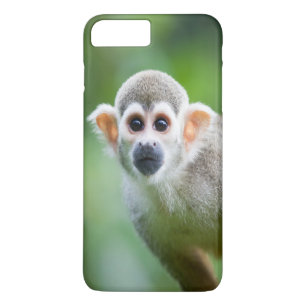 Coque iPhone 8 Plus/7 Plus Plan rapproché d'un singe-écureuil commun
