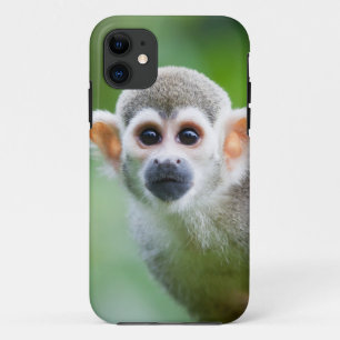 Etui iPhone Case-Mate Plan rapproché d'un singe-écureuil commun