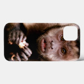 Coques Case-Mate iPhone Plan rapproché d'un singe noir-couvert de capucin (Verso (horizontal))