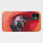 Coques Case-Mate iPhone Planeur à sucre en Orange Hanging Lit (Dos (Horizontal))