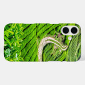 Coques Case-Mate iPhone Plantation de thé de Cameron Highlands (Verso (horizontal))