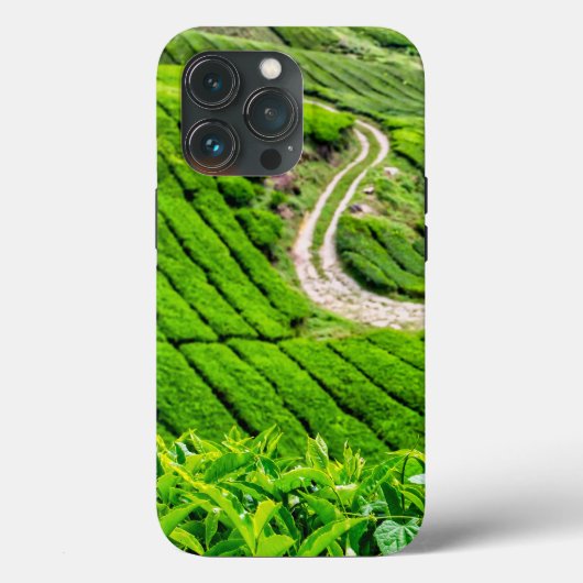 Coques Case-Mate iPhone Plantation de thé de Cameron Highlands (Verso)
