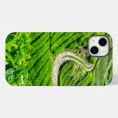Coques Case-Mate iPhone Plantation de thé des Cameron Highlands (Verso (horizontal))