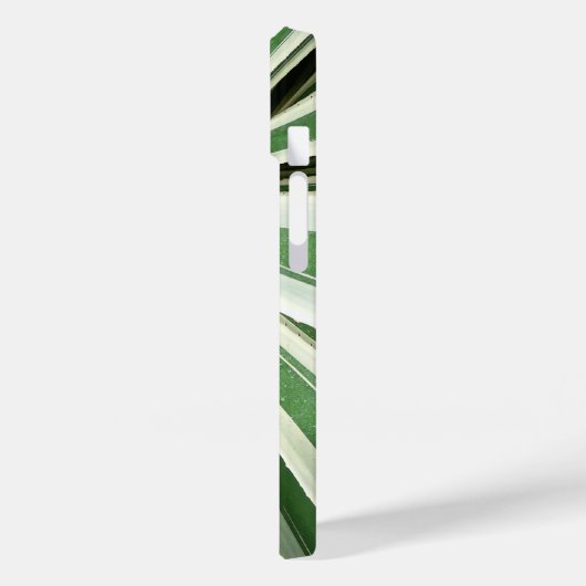 Coques Case-Mate iPhone Plante Agave Vert et blanc rayé (Verso / Gauche)