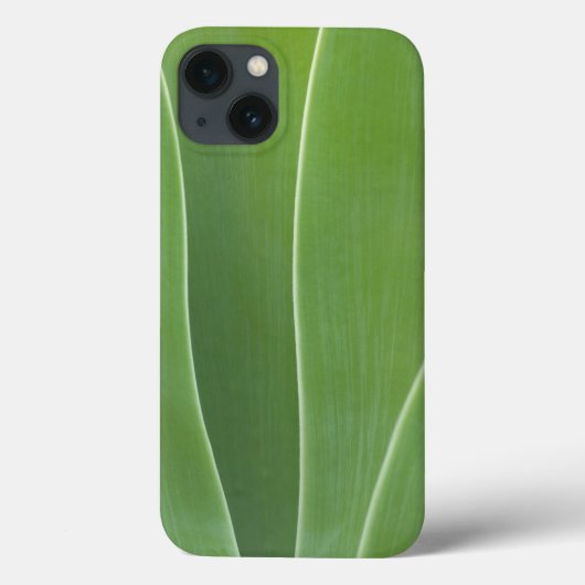 Coques Case-Mate iPhone Plante d'Agave de près (Verso)