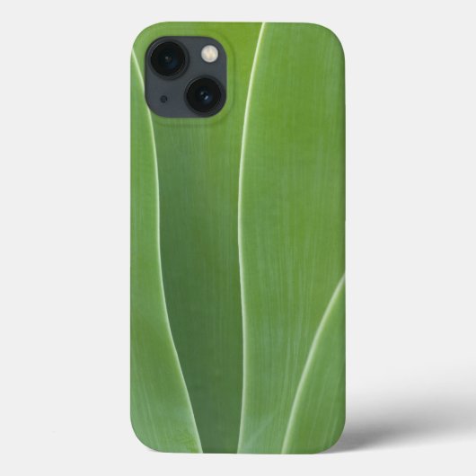 Coques Case-Mate iPhone Plante d'Agave de près (Verso)