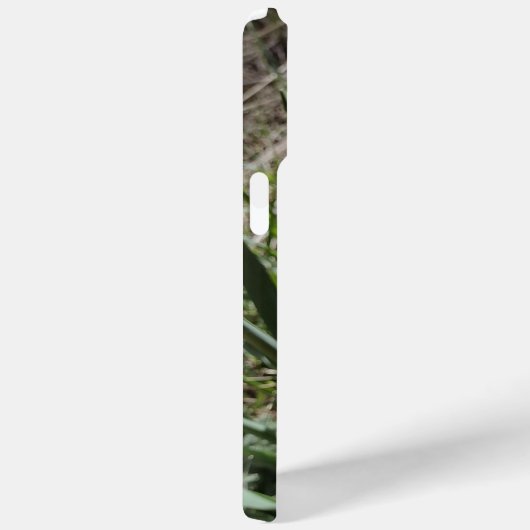 Coques Case-Mate iPhone Plante jonquille jaune (Verso / Droite)