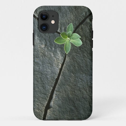 Coques Case-Mate iPhone Plante s'élevant à Boulder criqué (Dos)
