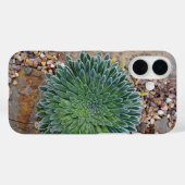 Coques Case-Mate iPhone plante succulente du désert (Verso (horizontal))