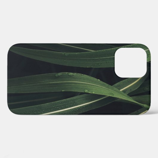 COQUES Case-Mate iPhone PLANTE VERT (Verso (horizontal))