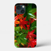 Coques Case-Mate iPhone Pluie d'automne (Verso)