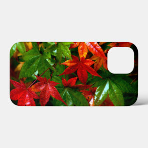 Case-Mate iPhone Case Pluie d'automne