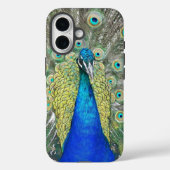 Coques Case-Mate iPhone Plumage bleu Peacock (Verso)